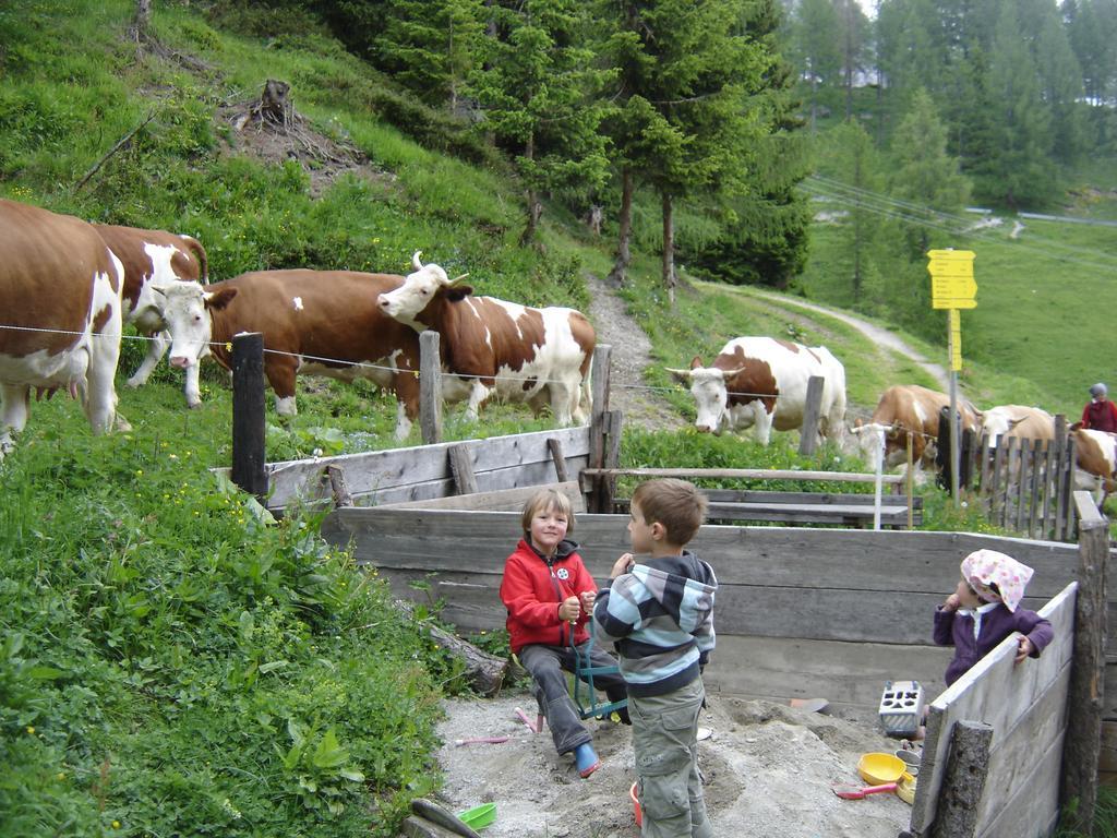 Gloesalm Ramsau am Dachstein Quarto foto