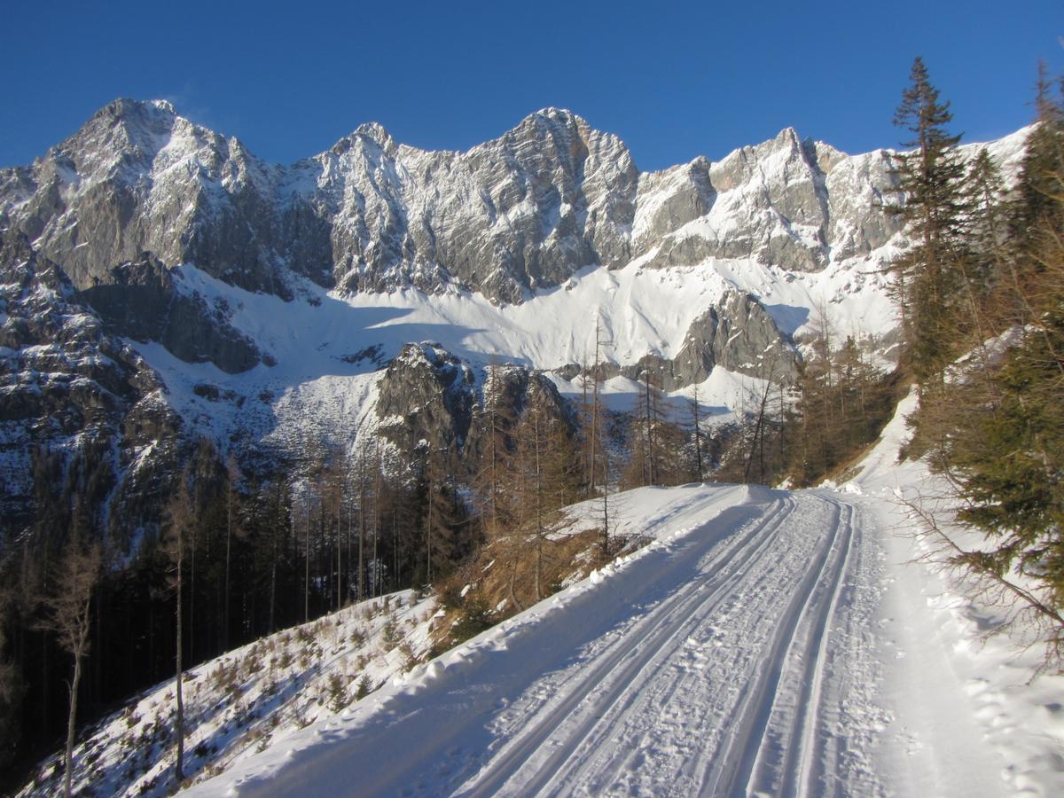 Gloesalm Ramsau am Dachstein Exterior foto